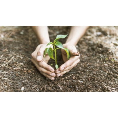 crop-hands-saving-sprout.jpg crop-hands-saving-sprout.jpg